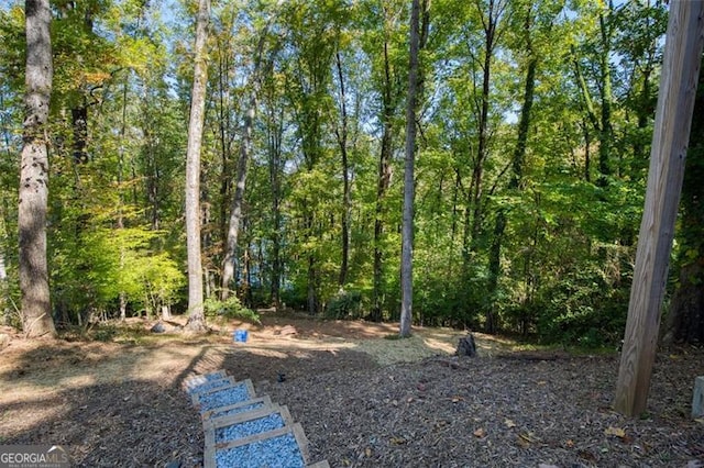 view of yard featuring a wooded view