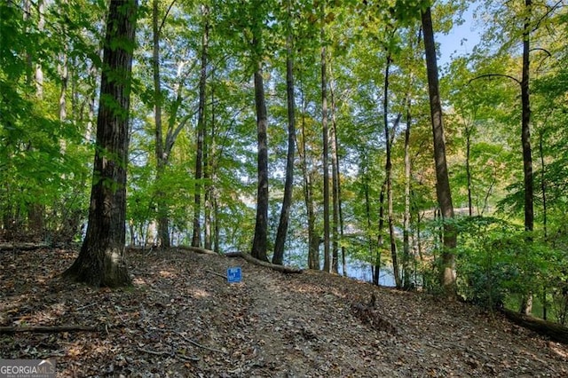 view of landscape