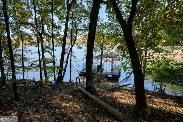 water view with a boat dock