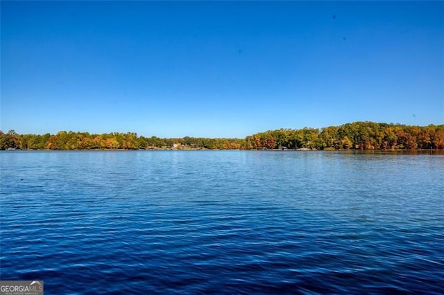 property view of water with a wooded view