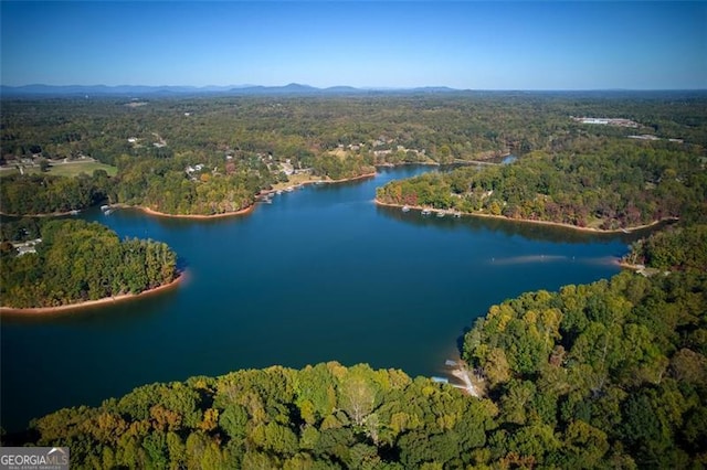 aerial view featuring a water view and a wooded view
