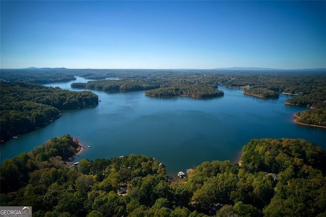 bird's eye view featuring a view of trees and a water view