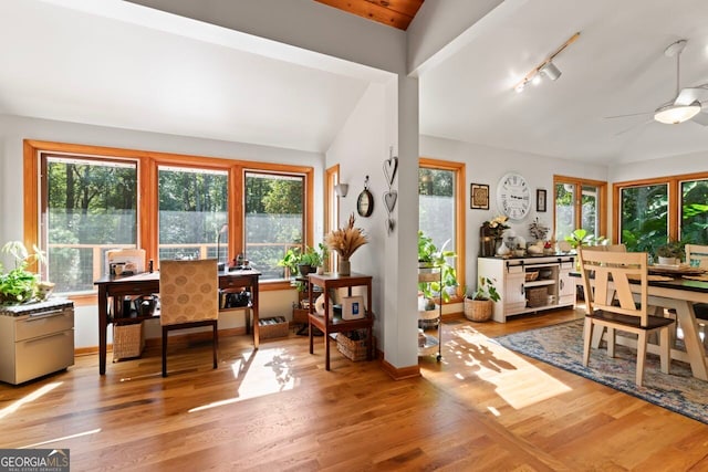 dining space featuring vaulted ceiling, light hardwood / wood-style flooring, rail lighting, and ceiling fan