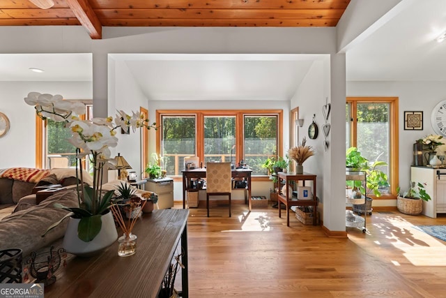 living room featuring vaulted ceiling with beams and a healthy amount of sunlight