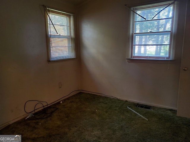 unfurnished room featuring carpet flooring and plenty of natural light