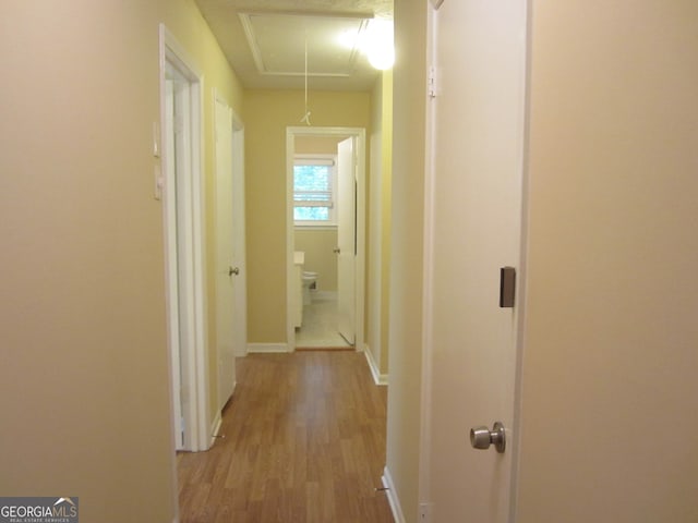 hall with light hardwood / wood-style floors