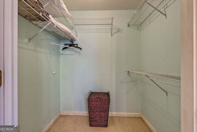 view of spacious closet