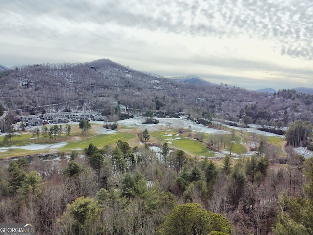 birds eye view of property featuring a water and mountain view