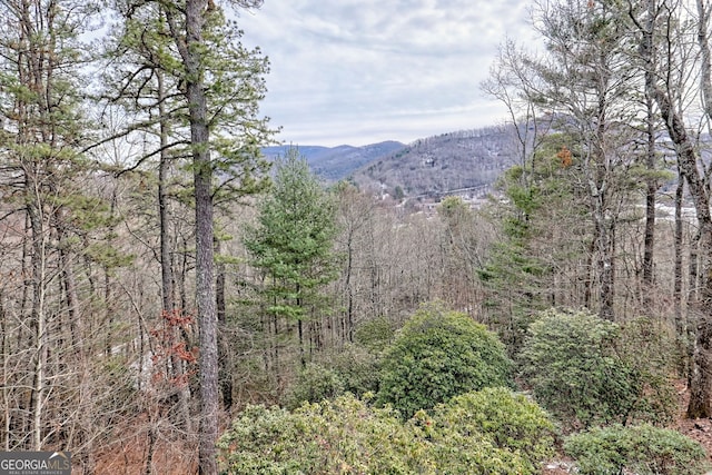 property view of mountains