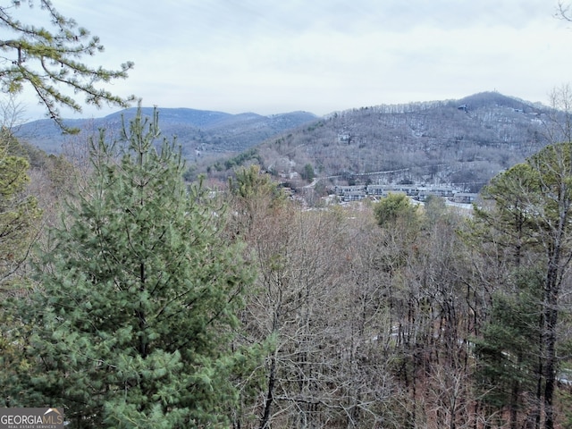 property view of mountains