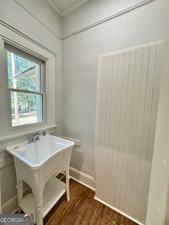 interior space featuring wood-type flooring and sink