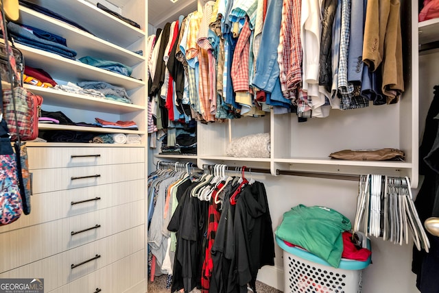 spacious closet featuring carpet flooring