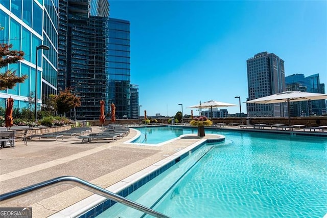 view of swimming pool with a patio