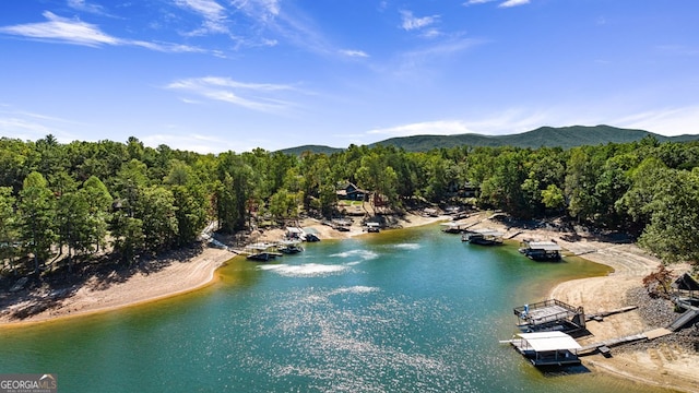 bird's eye view featuring a water and mountain view