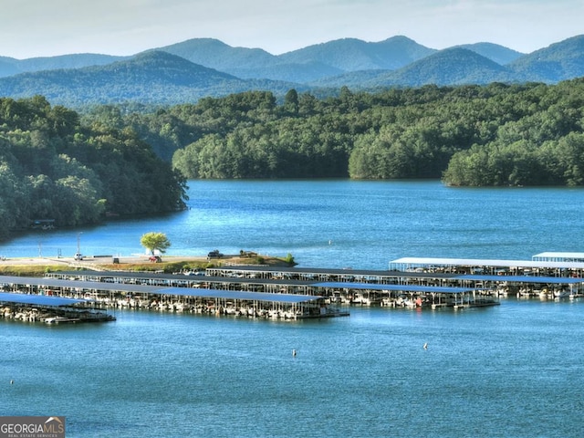 property view of water featuring a mountain view