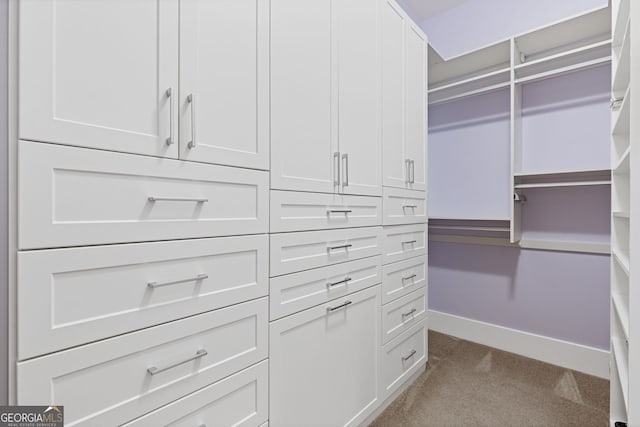 spacious closet with carpet floors