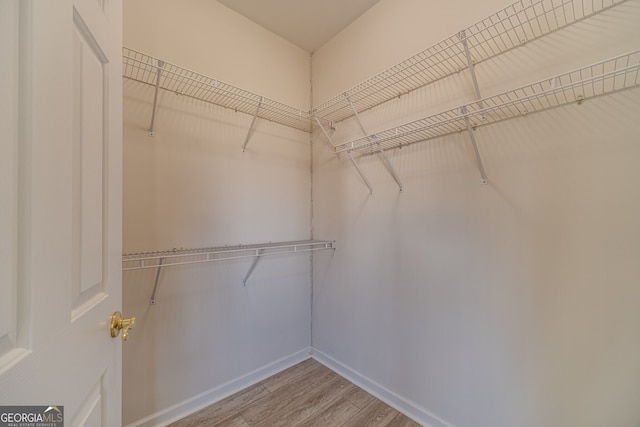 spacious closet featuring light hardwood / wood-style floors