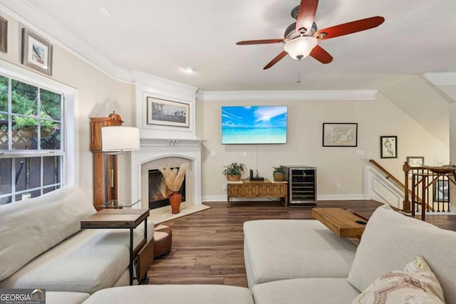 living room featuring beverage cooler, dark wood-type flooring, ceiling fan, and crown molding