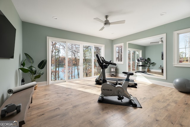 exercise area featuring a healthy amount of sunlight, light wood-type flooring, and ceiling fan