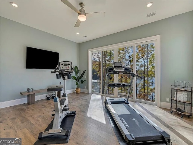 workout area featuring light hardwood / wood-style flooring, plenty of natural light, and ceiling fan