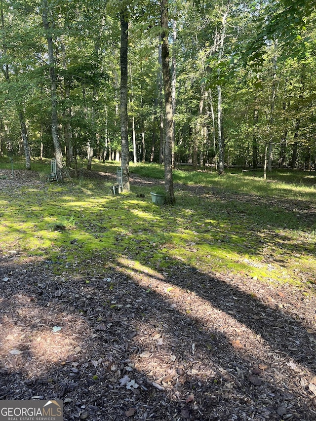 view of yard featuring a view of trees