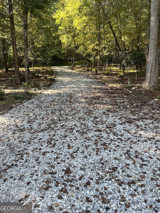 view of road featuring a wooded view