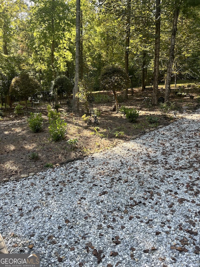 view of local wilderness with a wooded view