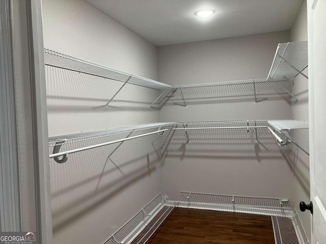 spacious closet featuring hardwood / wood-style flooring