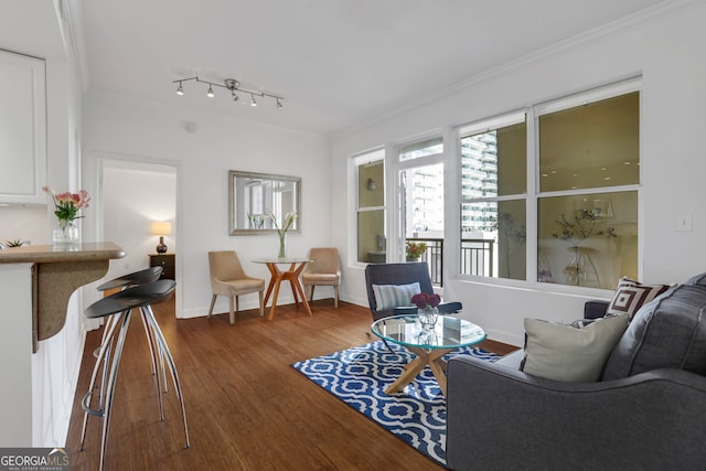 interior space with crown molding and wood-type flooring