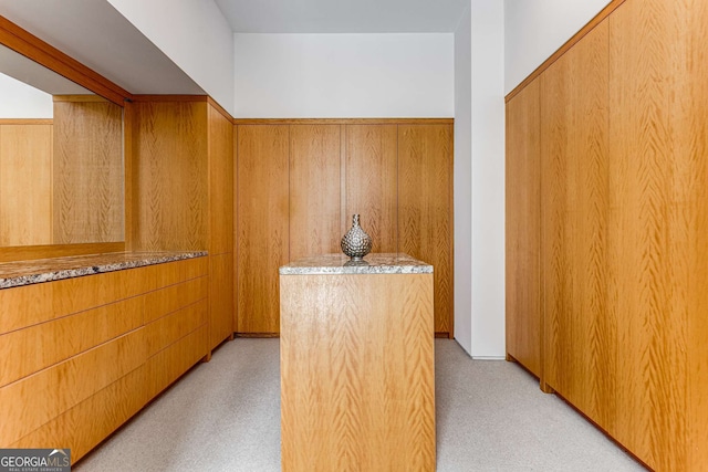 hallway featuring light carpet, wood walls, and wainscoting