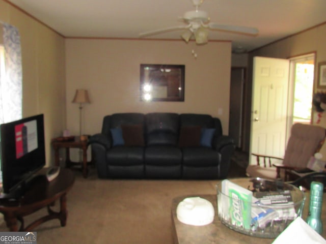 living room featuring ceiling fan and carpet