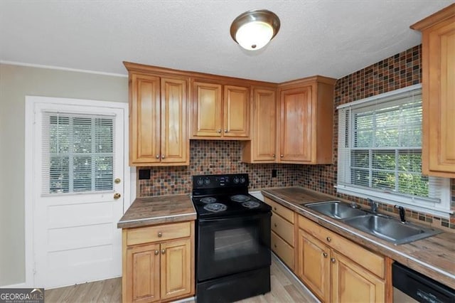 kitchen featuring black electric range oven, decorative backsplash, stainless steel dishwasher, light hardwood / wood-style floors, and sink