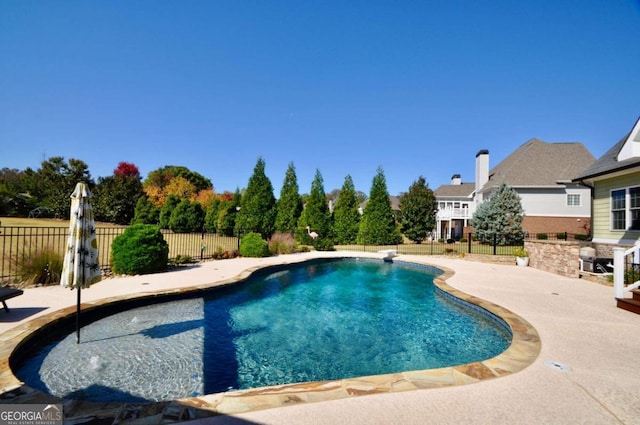 view of pool featuring a patio