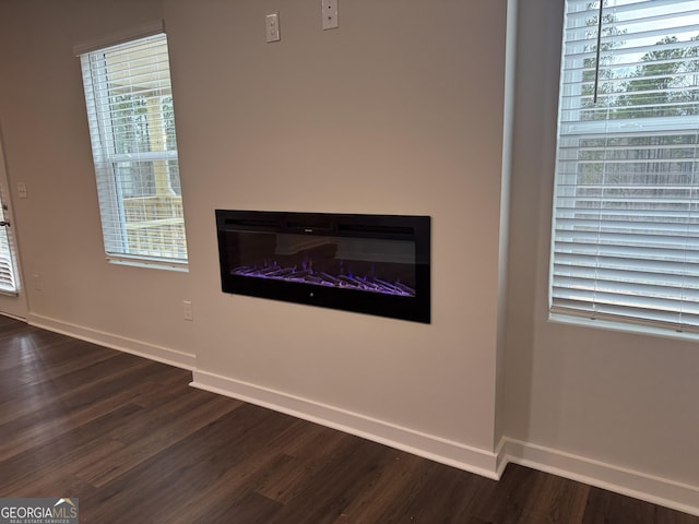 room details with hardwood / wood-style floors