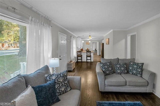 living room with ceiling fan, crown molding, and dark wood-type flooring