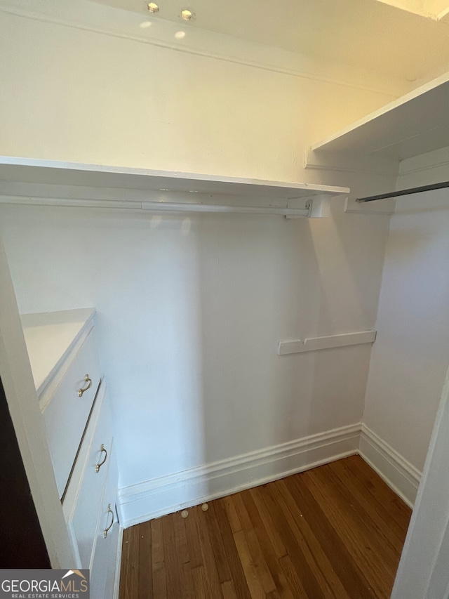 spacious closet featuring dark hardwood / wood-style flooring