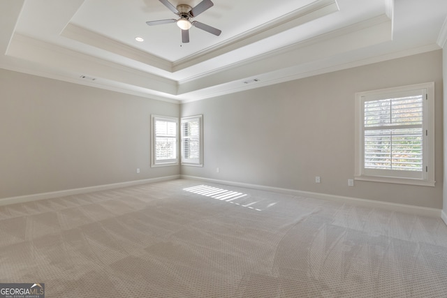 carpeted empty room with plenty of natural light, crown molding, and a tray ceiling