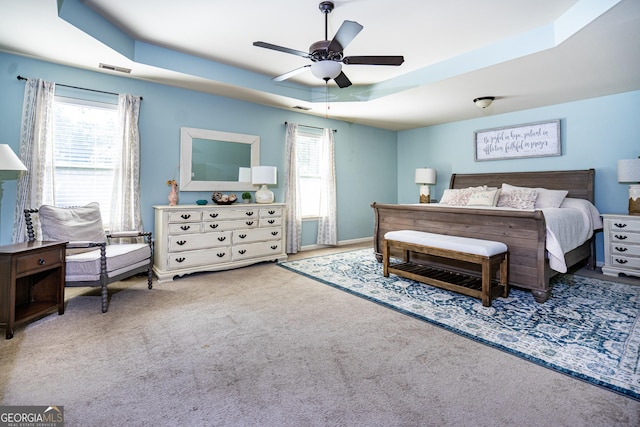 bedroom featuring a raised ceiling, ceiling fan, and multiple windows