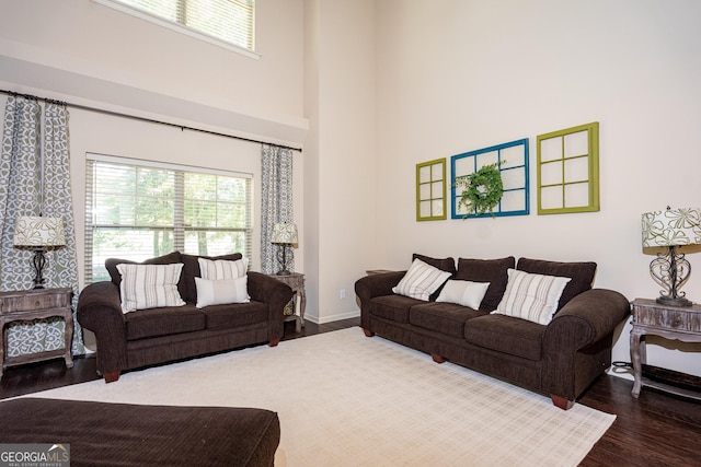 living room featuring hardwood / wood-style flooring and a high ceiling