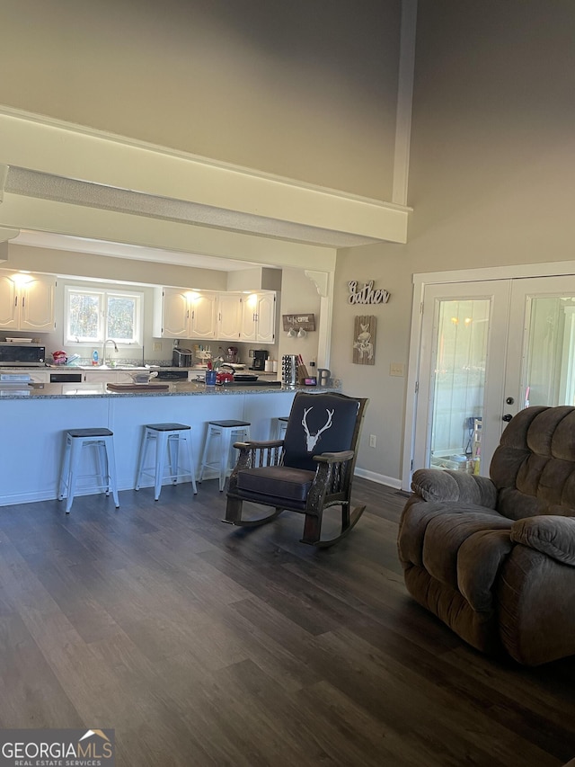 living room featuring sink, high vaulted ceiling, dark wood-type flooring, and french doors