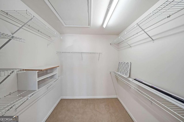 spacious closet featuring light carpet