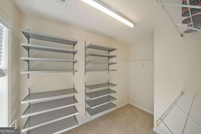 spacious closet featuring light carpet