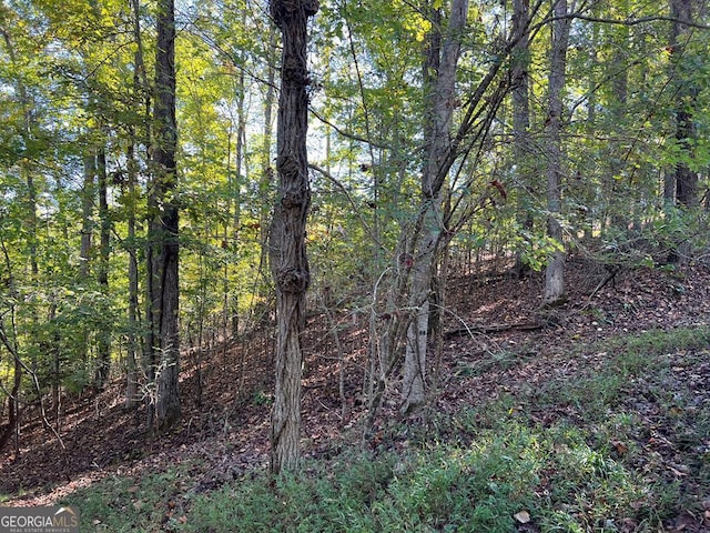 LOT23 Tahlequah Rdg, Hayesville NC, 28904 land for sale