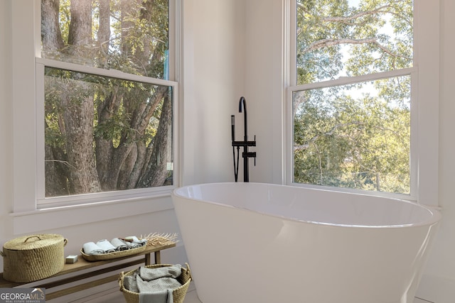 bathroom featuring a washtub