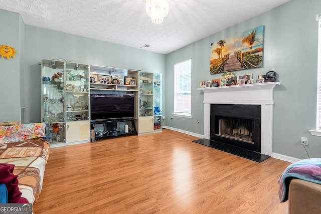 living room featuring wood-type flooring and a textured ceiling