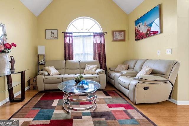 living room featuring lofted ceiling and wood-type flooring