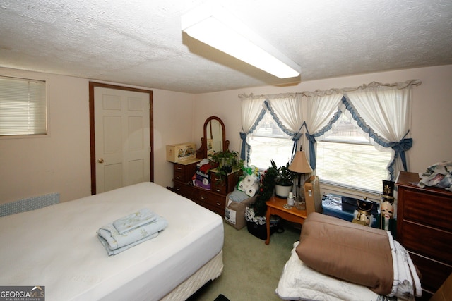 bedroom with carpet flooring and a textured ceiling