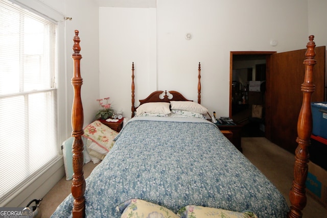 bedroom with dark carpet