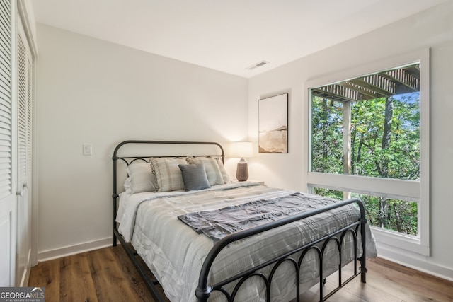 bedroom featuring multiple windows, a closet, and dark hardwood / wood-style flooring