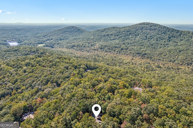 birds eye view of property featuring a mountain view